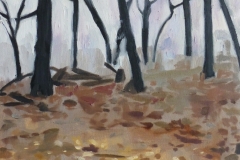 Winter Collection 4
