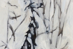 Winter Collection 5