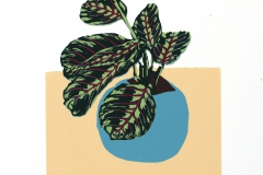 Potted Prayer