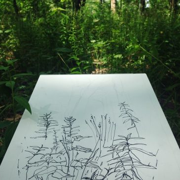 Learning from Surprising Sources